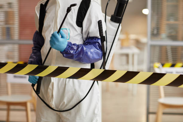 Professional Biohazard technician working in Hyde Park, MA
